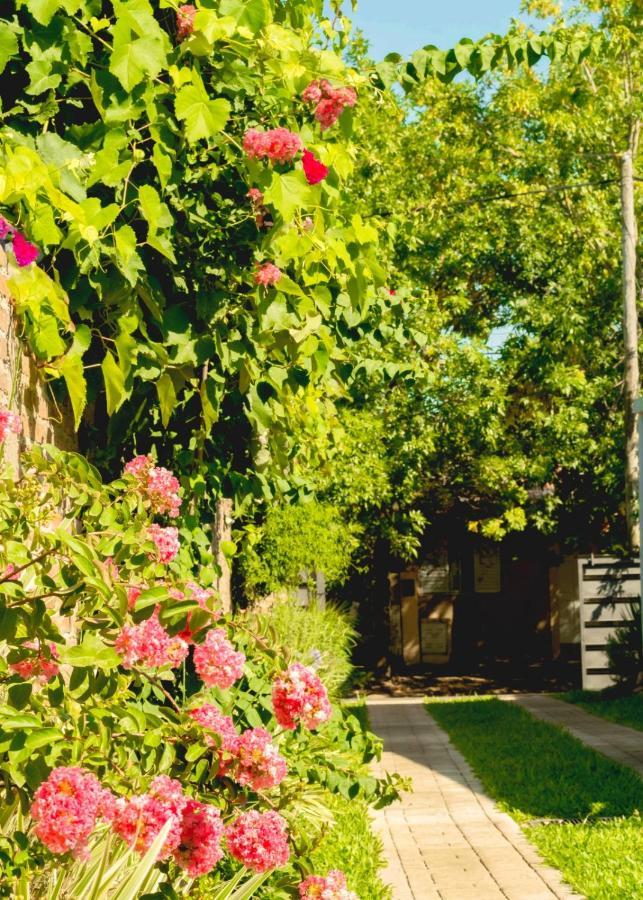 Vina Διαμέρισμα Villa Elisa  Εξωτερικό φωτογραφία
